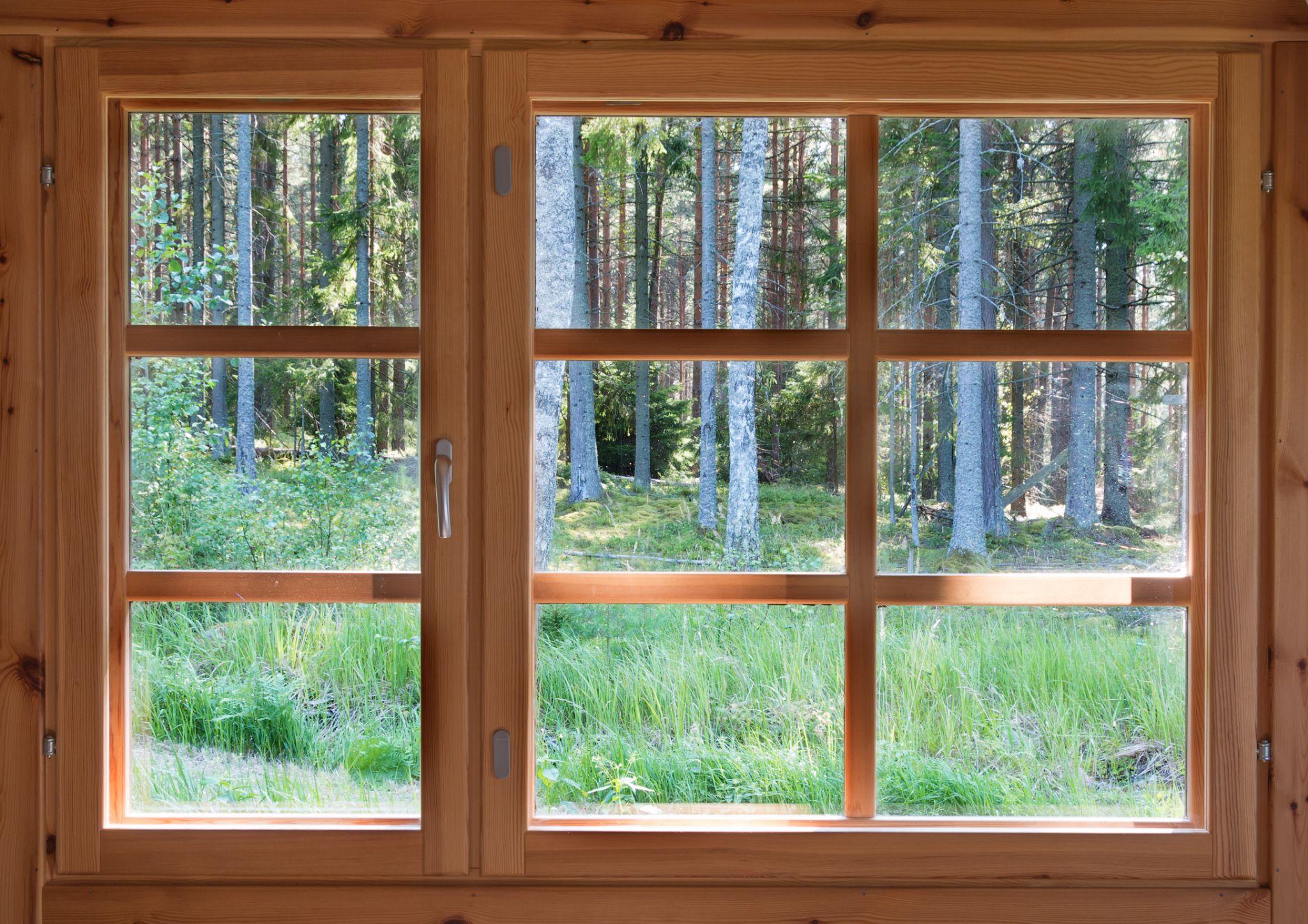 A window overlooking a wooded area