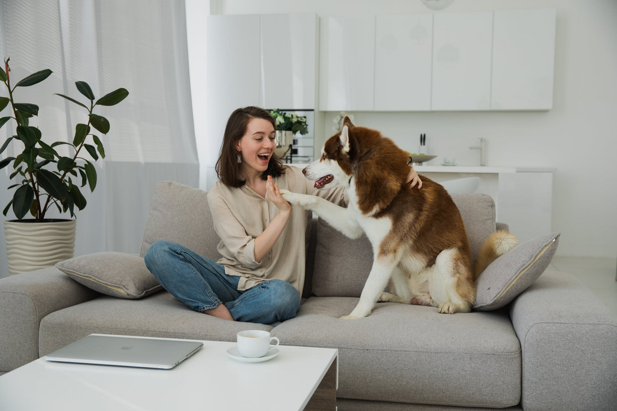 woman having fun and trying to play with lovely dog