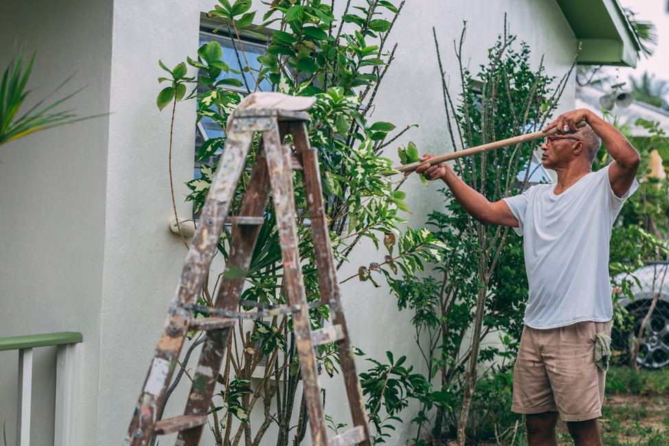 african american man trimming tree outside of home