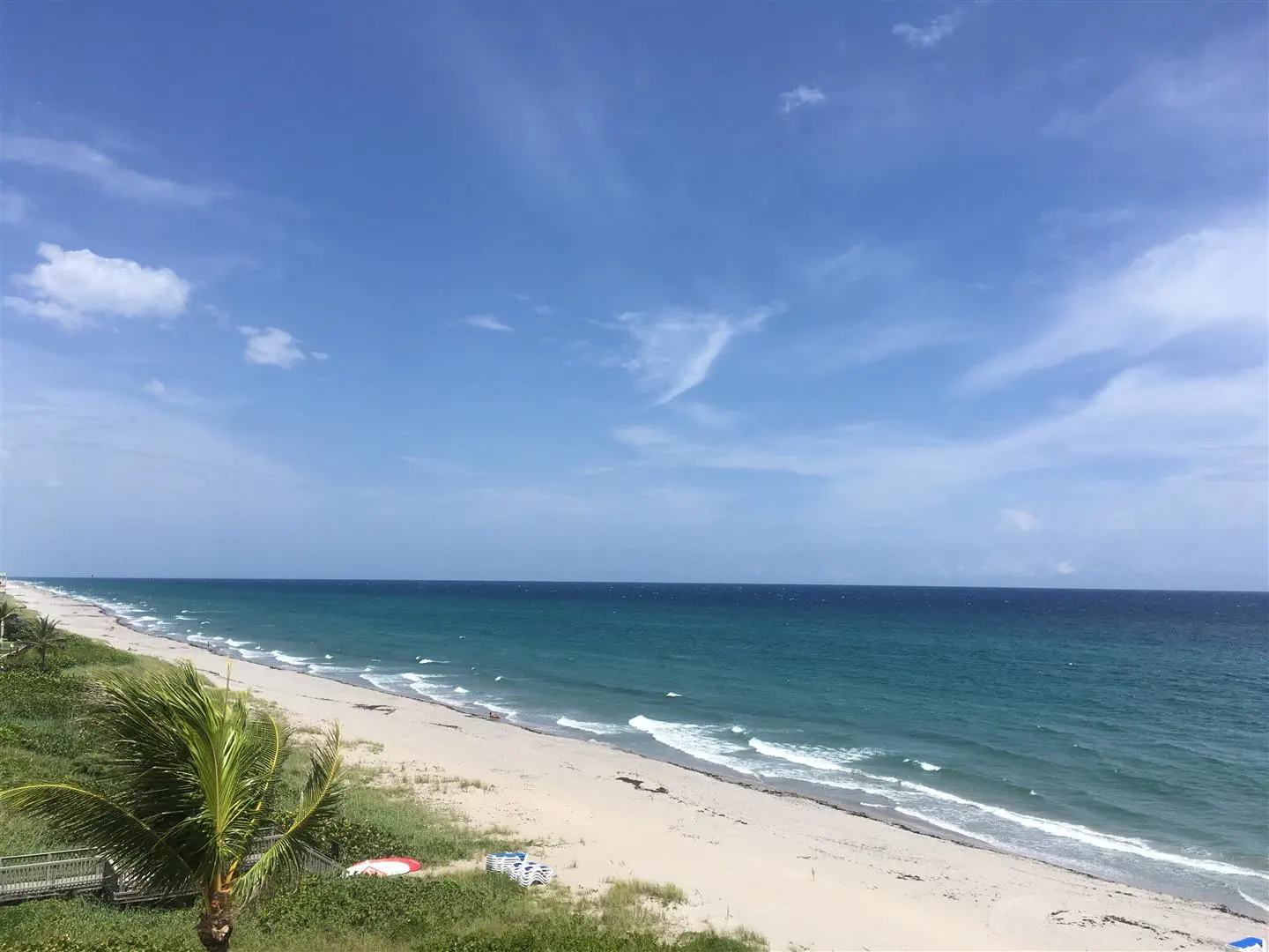 A serene beach scene featuring a clear blue sky, gentle waves on the ocean, golden sand, and a lone palm tree in the foreground. Calm and peaceful atmosphere.