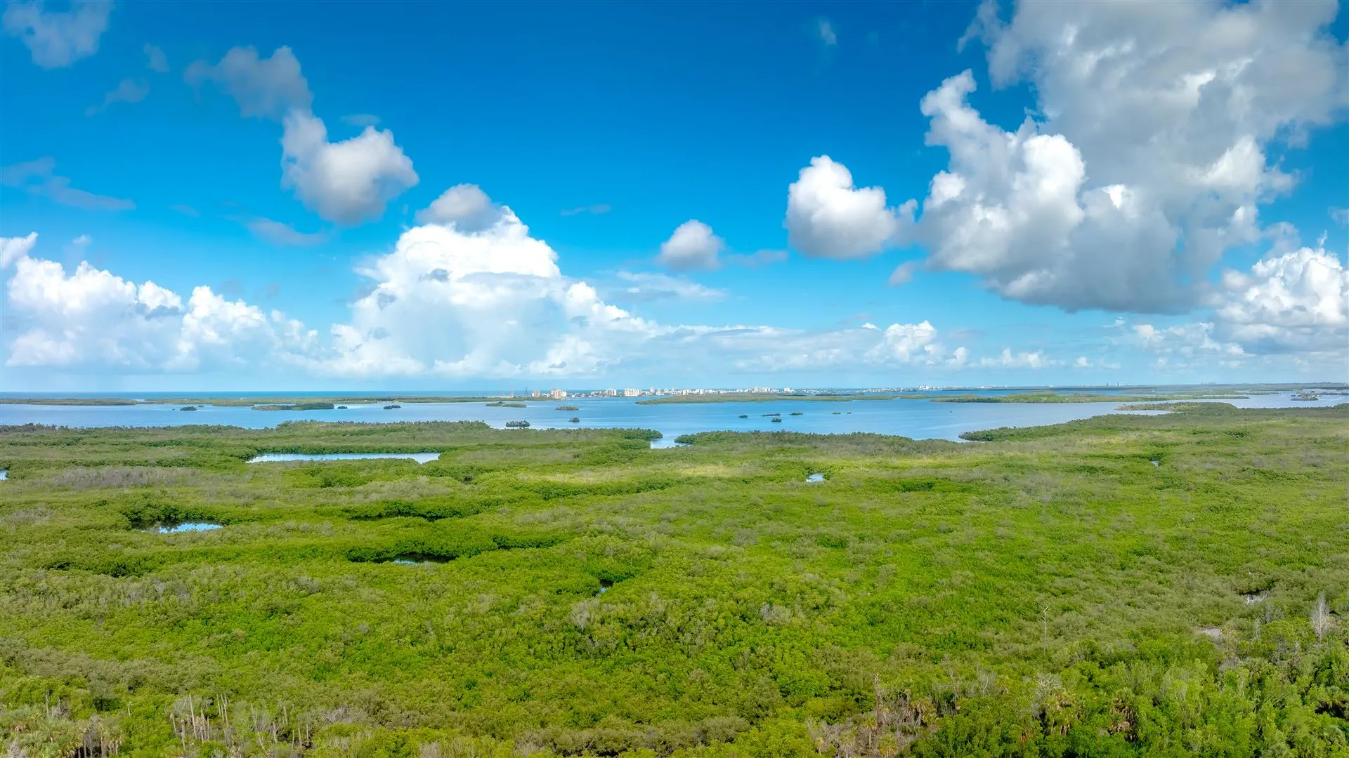 Aerial view of lush green mangroves under a vibrant blue sky with scattered white clouds. Calm waters stretch toward a distant cityscape on the horizon.