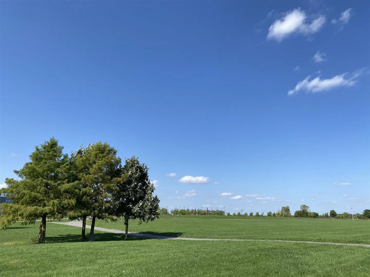 Expansive green field under a clear blue sky with a few scattered clouds. Three trees stand together in the foreground, conveying a calm, serene atmosphere.