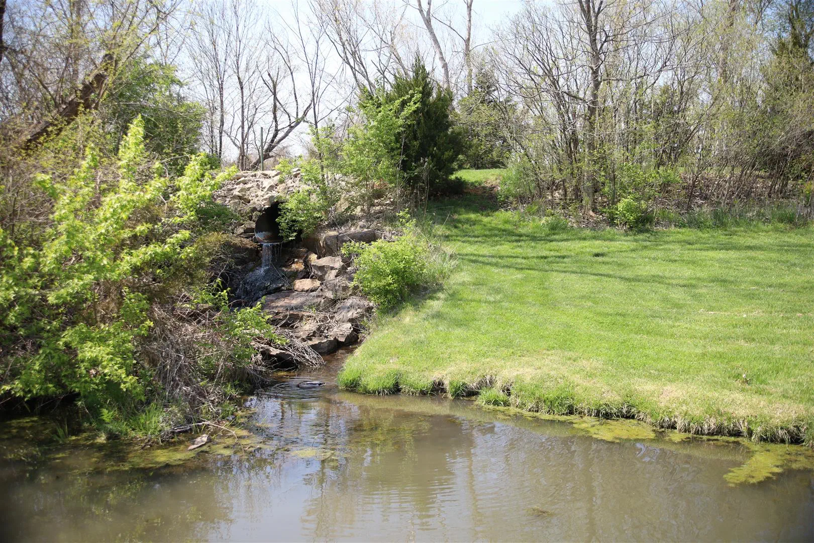A serene stream flows through a grassy landscape bordered by trees. A small waterfall emerges from rocks, surrounded by lush greenery and sunshine.