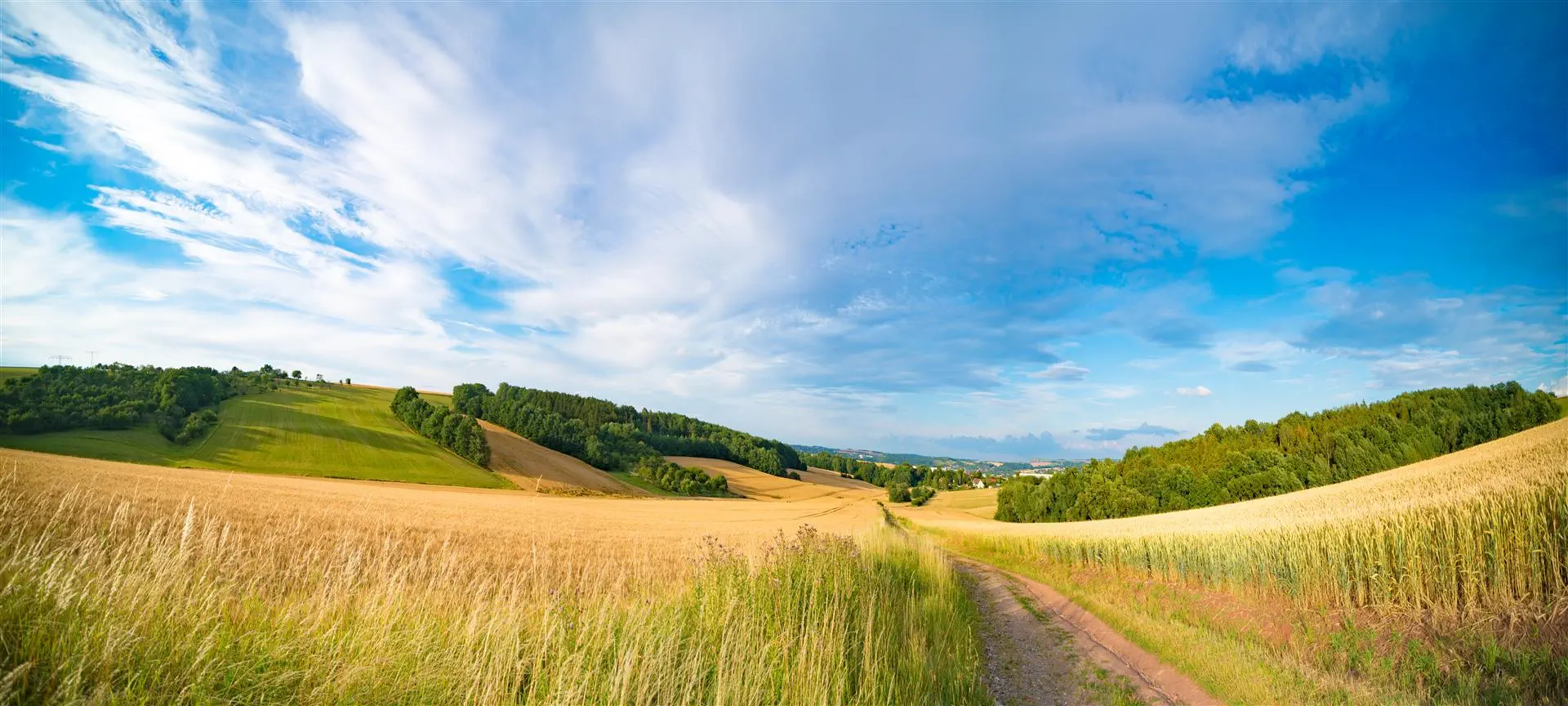 A serene rural landscape with golden wheat fields and lush green hills under a vast blue sky with scattered clouds. A dirt path leads into the horizon.