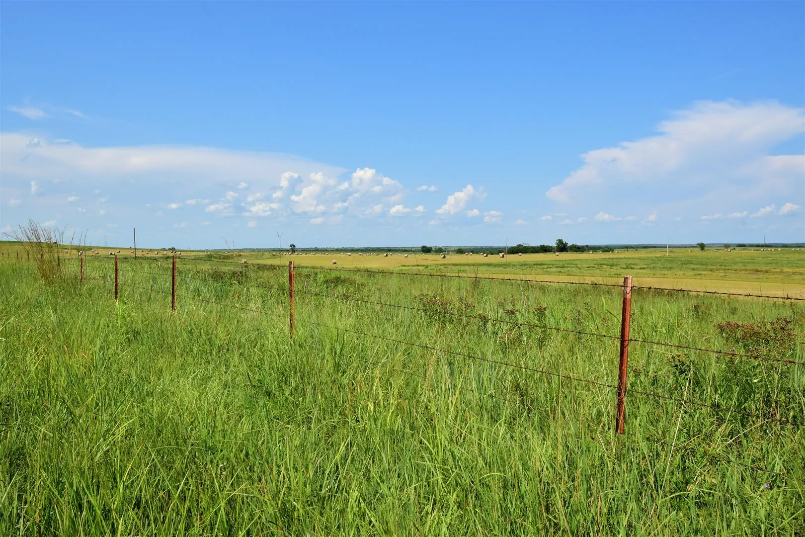 Expansive green pasture under a bright blue sky with scattered clouds. A red wire fence runs through the grass, conveying openness and tranquility.