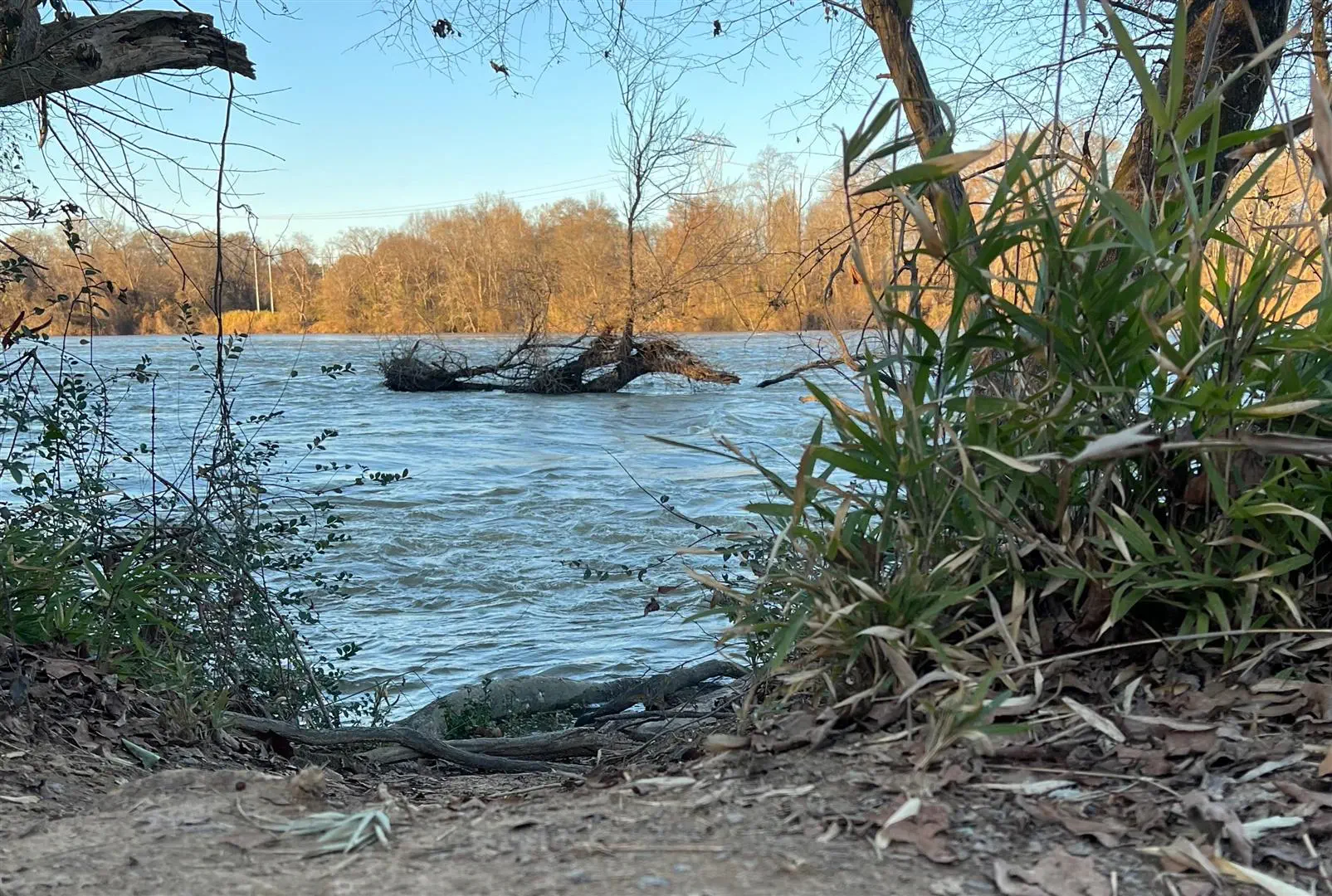 A calm river with gentle ripples is framed by bare trees and green underbrush. The autumn foliage glows warmly in the background under a clear blue sky.